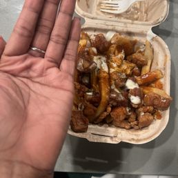 Hot chicken plate