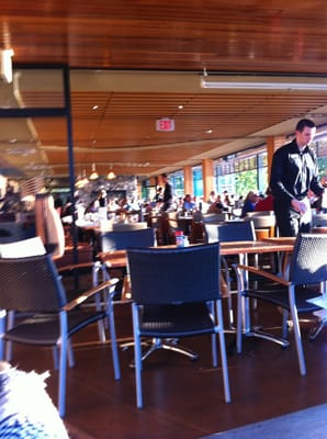 1305 Arbutus St by null