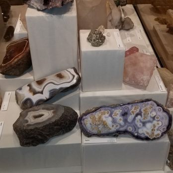 Berkshire Museum - My daughter's earth science class paid off - Cinema Near Me - Pittsfield, Massachusetts