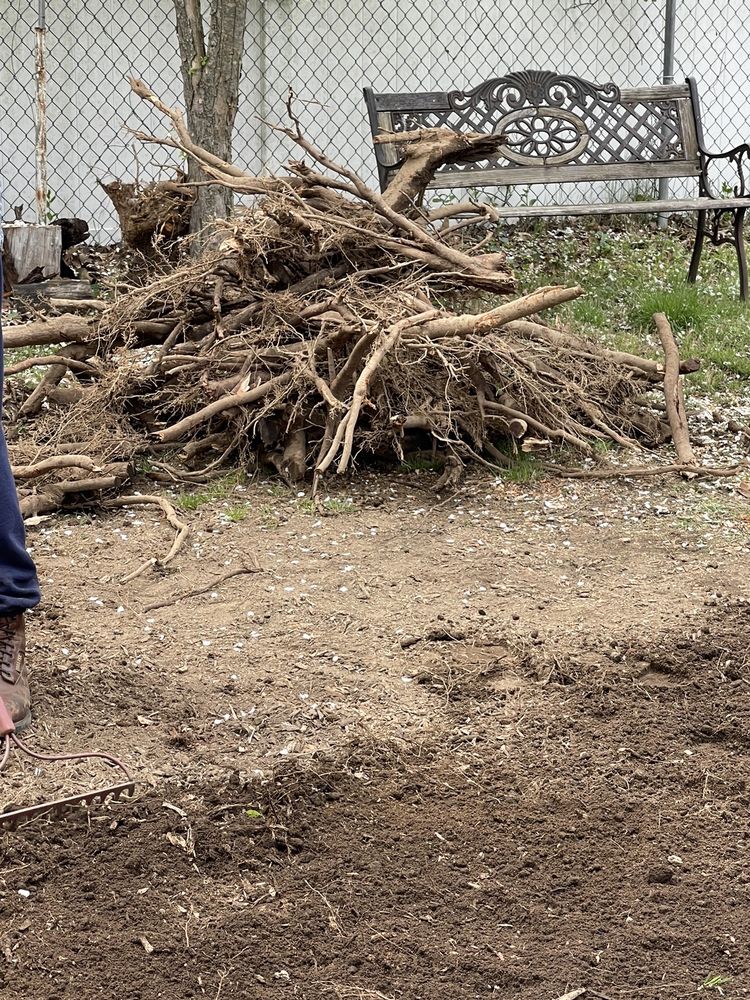 Ed's Tree Service - tree service in Hampden, MA