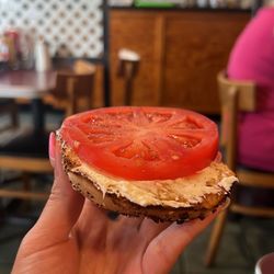 Goldman's Bagel Deli - Everything bagel toasted with cream cheese and tomato