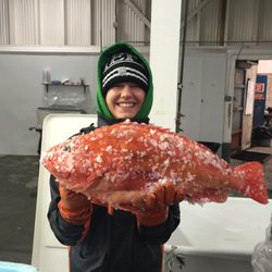 Fish From Trish - Fresh Off the Boat Red Snapper