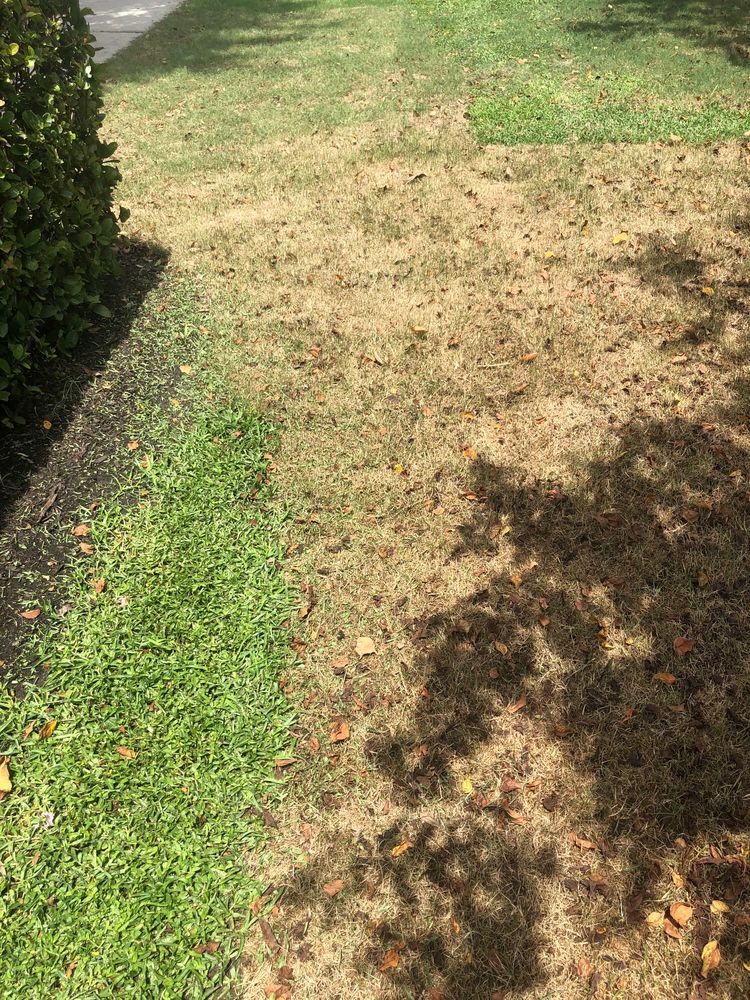 WESTCOAST LANDSCAPE & LAWNS Updated August 2024 35 Photos 3880