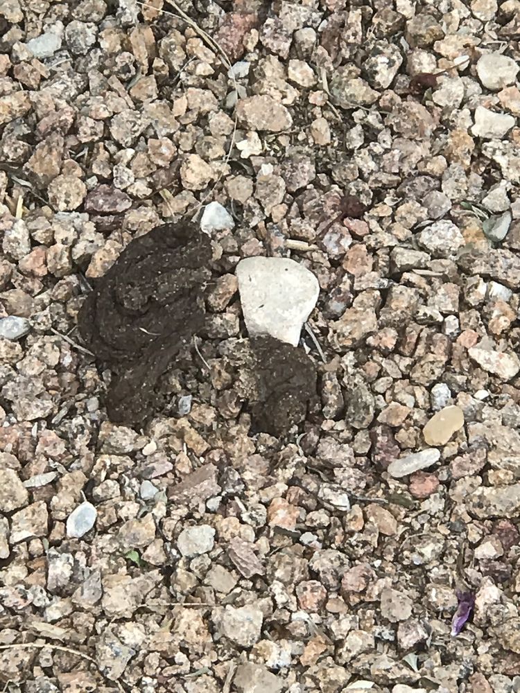 WILLOWBROOK APARTMENTS Updated May 2024 47 Photos & 42 Reviews