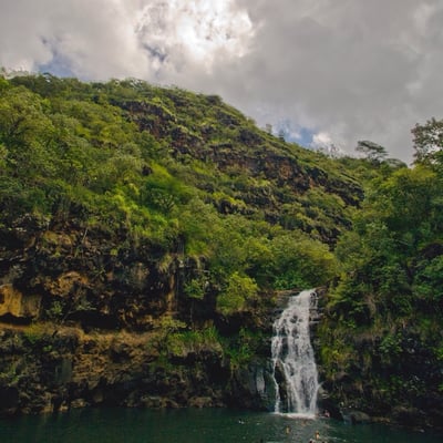 Waimea Valley by null
