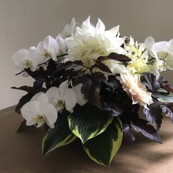 Everything Botanical - Exotic table top arrangement