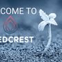 SeedCrest