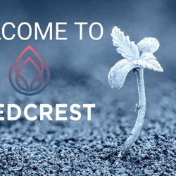 SeedCrest