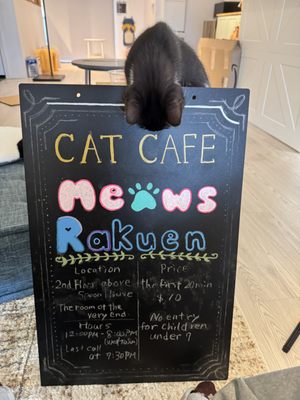 Meows Rakuen by null
