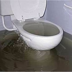 Wood’s Rooter Service