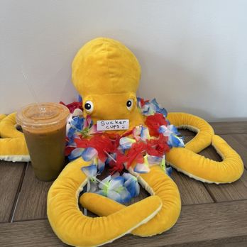 Kaizen Wellness - Octopus - Juice Bars & Smoothies Near Me - Los Angeles, California