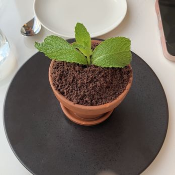 Terravita - fun dessert - New American Near Me - Edgewater, New Jersey