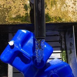 Shen Zen Tea - Harvesting local artesian spring water