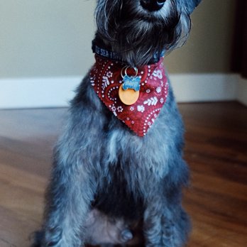 Puppy Bubbles - Pet Groomers Near Me - Mercer Island, Washington Puppy Bubbles - Pet Groomers Near Me - Mercer Island, Washington