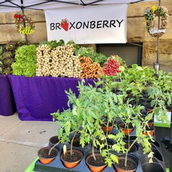 YLNI Farmers Market - Plants for sale