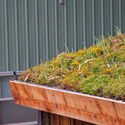 Native Sons Wholesale Nursery