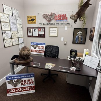 Wilkins Wildlife & Pest Solutions - Updated office photo - Wildlife Control Near Me - Bethany Beach, Delaware Wilkins Wildlife & Pest Solutions - Updated office photo - Wildlife Control Near Me - Bethany Beach, Delaware