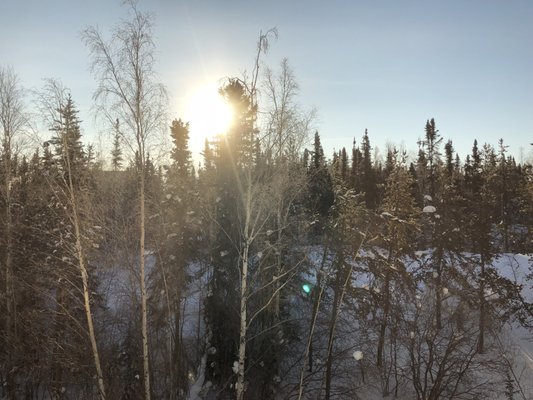 Chateau Nova Yellowknife by null