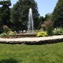 Photo of Burke's Green