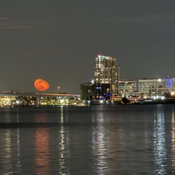 Mio’s Grill & Cafe Clearwater - View of downtown Clearwater from our table
