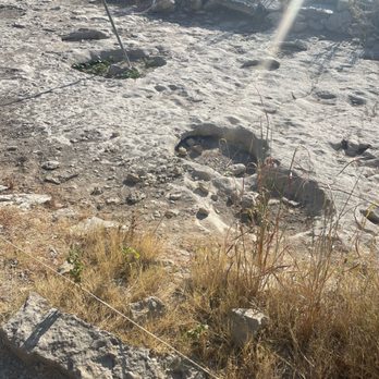 Dinosaur Valley State Park - tracks - Parks Near Me - Glen Rose, Texas Dinosaur Valley State Park - tracks - Parks Near Me - Glen Rose, Texas