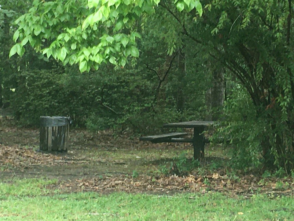 CROWFIELD PLANTATION LAKE Updated June 2024 Goose Creek, South