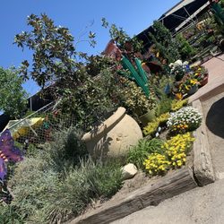 Robby's Nursery & Calico Gardens