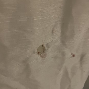 La Quinta Inn by Wyndham Phoenix Thomas Road - Bullet hole with blood - Hotels Near Me - Phoenix, Arizona