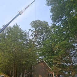 JD Tree & Landscape Services - A dangerous tree over the house got remove by our team safe and efficient
