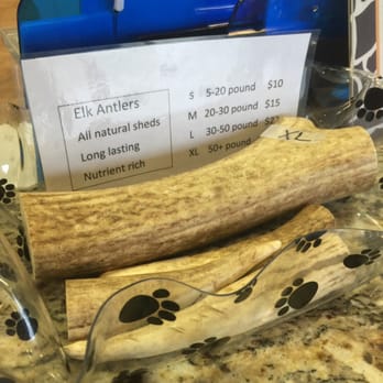 Triangle Animal Clinic - Elk Antlers - Veterinarians Near Me - Conroe, Texas