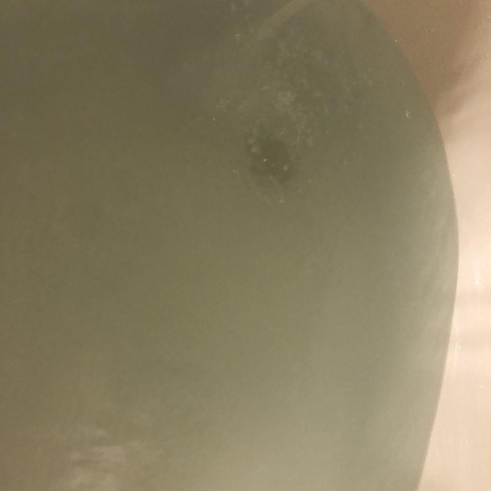 YAY MURKY WATER. Thanks Quail!! YAY MURKY WATER. Thanks Quail!!