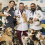 Photo of Premier Pet Care