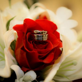 Jolie Images - Videographers Near Me - Wheeling, Illinois