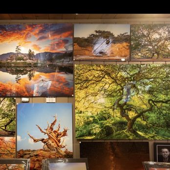 Artisans ETC - Photos off the business's website - Art Galleries Near Me - Big Bear Lake, California
