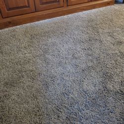Dave’s Cleaning Service - cleaned rug in front of door