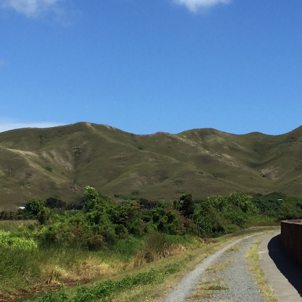 Kawainui Marsh Trail - Hiking Near Me - Kailua, Hawaii