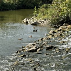 Stepping Stone Falls