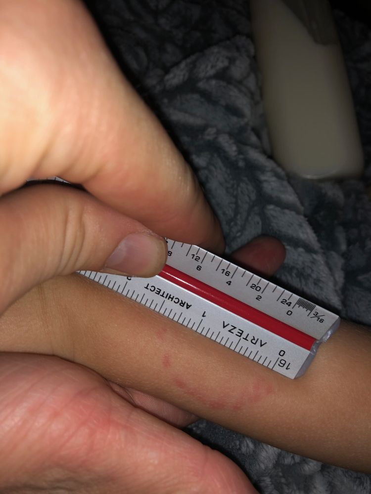 First Academy Child Care - childcare center in Maryland Heights, MO