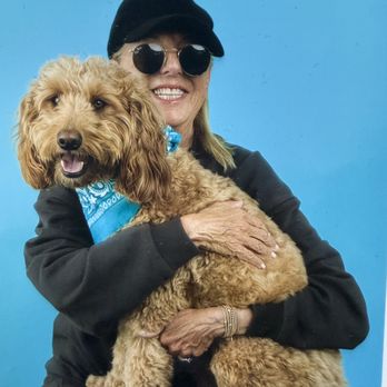Pet Shot Studios - Pet Photography Near Me - Los Angeles, California Pet Shot Studios - Pet Photography Near Me - Los Angeles, California