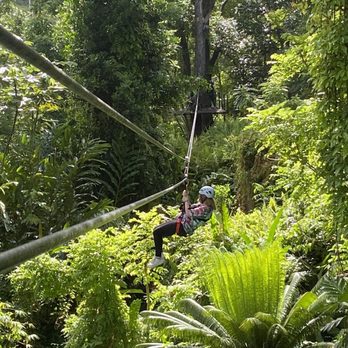 JungleQui Zip Line Park - Ziplining Near Me - Rio Grande, Puerto Rico