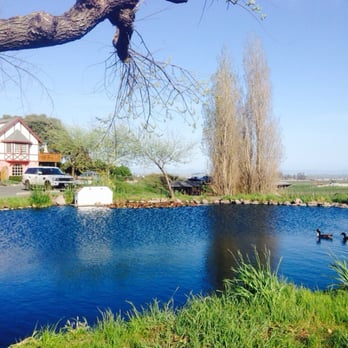 Schug Winery - Wineries Near Me - Sonoma, California Schug Winery - Wineries Near Me - Sonoma, California