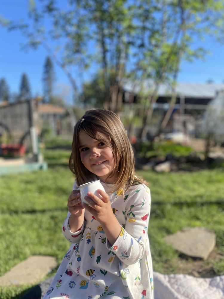 The Treehouse: a Forest Garden School - childcare center in Milwaukie, OR
