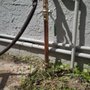 Zucco’s Plumbing