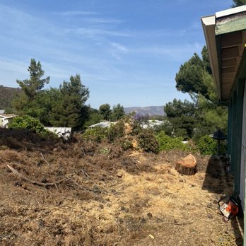 SD Tree Service - After tree removal - Tree Services Near Me SD Tree Service - After tree removal - Tree Services Near Me