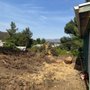 Photo of SD Tree Service