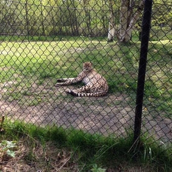 Greater Vancouver Zoo - Zoos Near Me - Aldergrove, British Columbia Greater Vancouver Zoo - Zoos Near Me - Aldergrove, British Columbia