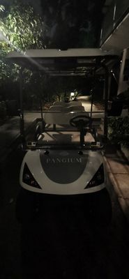 Pangium by null