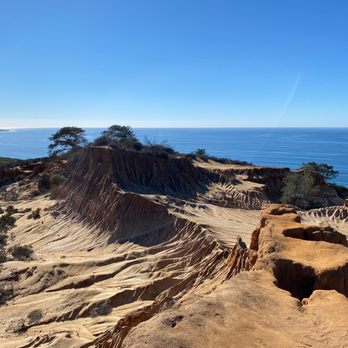 Torrey Pines State Reserve - Paradise at the end of the trail - Parks Near Me - La Jolla, California Torrey Pines State Reserve - Paradise at the end of the trail - Parks Near Me - La Jolla, California