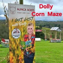 Alpaca Acres Farm and Fun - Corn Maze (new theme every year)