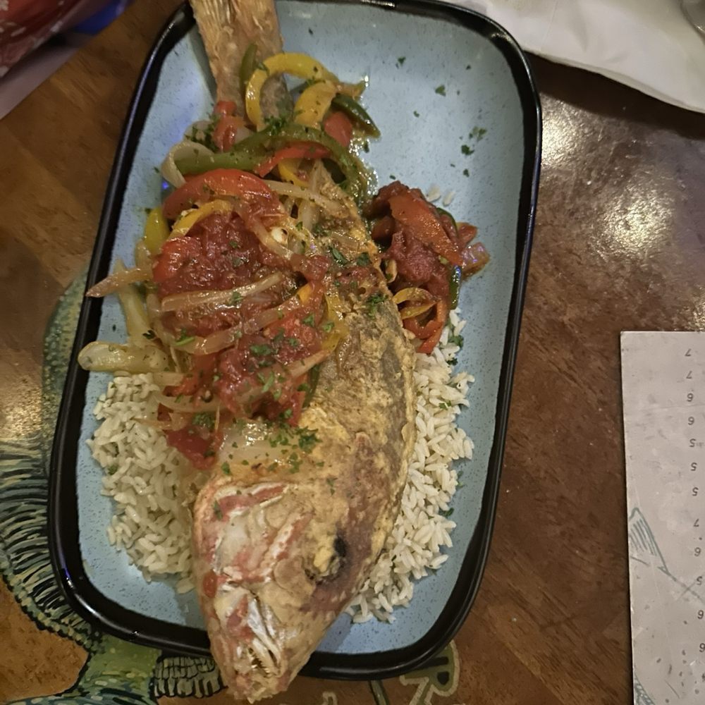Whole snapper catch of the day